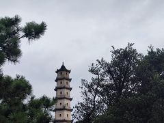 -江心屿景区