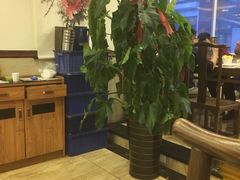 大堂-盛元盛居传统炭火锅(绿园店)