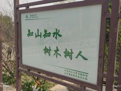 -北京鹫峰国家森林公园