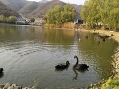 -静之湖度假区