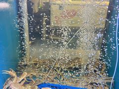 -鲜味食族水产·海鲜餐厅
