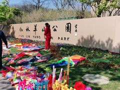 -羊山湖公园
