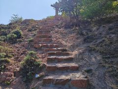 -红山国家森林公园