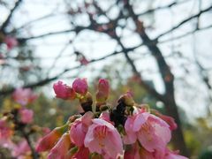 -乌山风景区