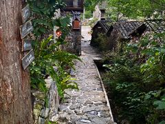 -MOJ coffee(瓯海泽雅水碓坑店)