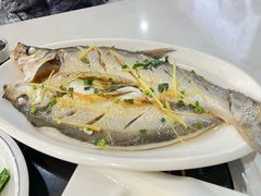 -源水鱼庄·翘嘴鲌店·老字号