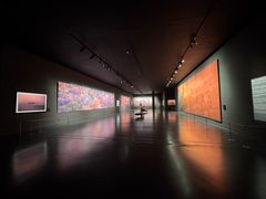 -罗红摄影艺术馆