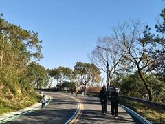 -宝界山林公园