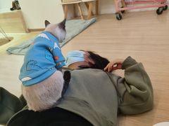 -Heymao猫咖.咖啡厅(东门店)