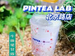 -PINTEA LAB(北京路店)