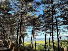 -帽儿山国家森林公园