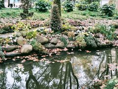 -上海共青森林公园