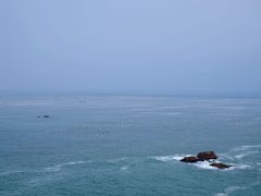 -枸杞岛