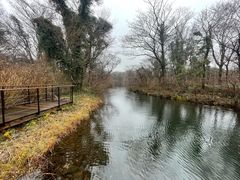 -济州森林小火车生态公园