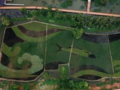 -呈贡滇池生态湿地公园