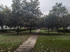 -四川大学(望江校区)