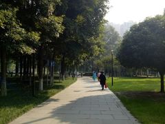 -温江公园