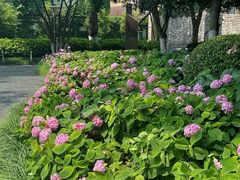 -常州古运河南大街文化旅游区-人民公园