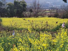 -樱桃山旅游景区