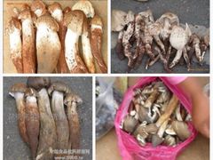 -步步高·粤北之珠海鲜坊