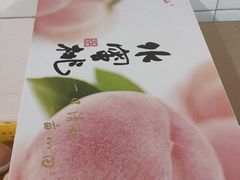 -老袁家蜜桃农场·阳山水蜜桃