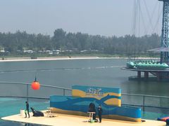 -秦皇岛乐岛海洋王国