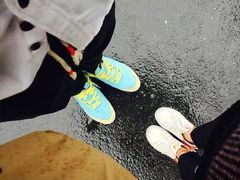 -合肥滨湖国家森林公园