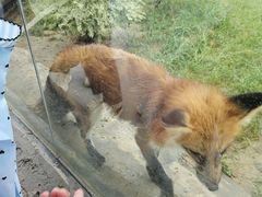 -武汉动物园