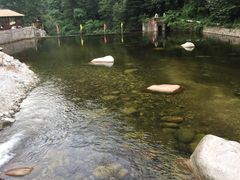 -陕西省红河谷森林公园