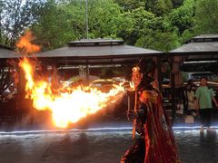 -凤来栖·净庭院·火锅(欧尚店)