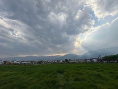 -喜林苑·稻田餐厅(品相府店)
