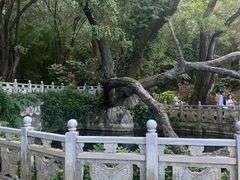 -蝴蝶泉公园