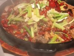 -老板恋上鱼(恒隆广场店)