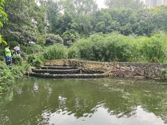 -成都市活水公园