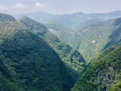 -武陵山森林公园