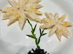 -丁老爷子苏香圆