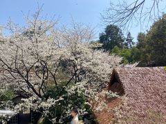 -中国茶叶博物馆(双峰馆区)