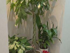 -静海名悦·私宴(大生店)