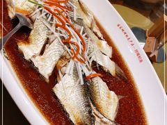 -丹江渔村(望京店)