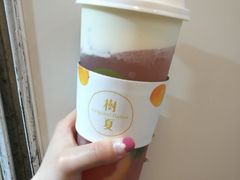 -树夏(建设路店)