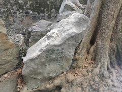 -绮园景区