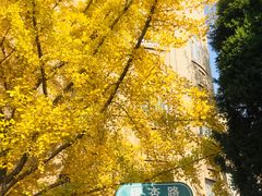 -辽宁大学(崇山校区)