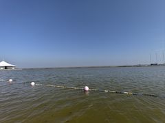 -碧海金沙