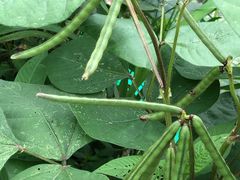 -岣嵝峰国家森林公园