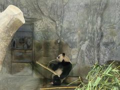 -深圳野生动物园