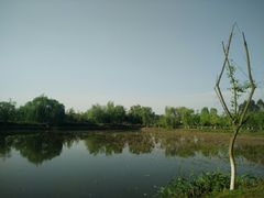 -白鹭湾湿地公园