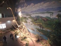 -自贡恐龙博物馆