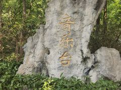 -音乐台