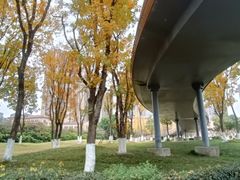 -府河摄影公园