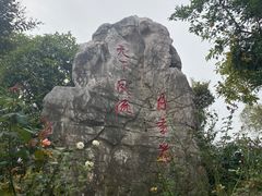 -鹅湖玫瑰文化园